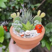 Tiểu cảnh mini để bàn Tiểu cảnh mini để bàn